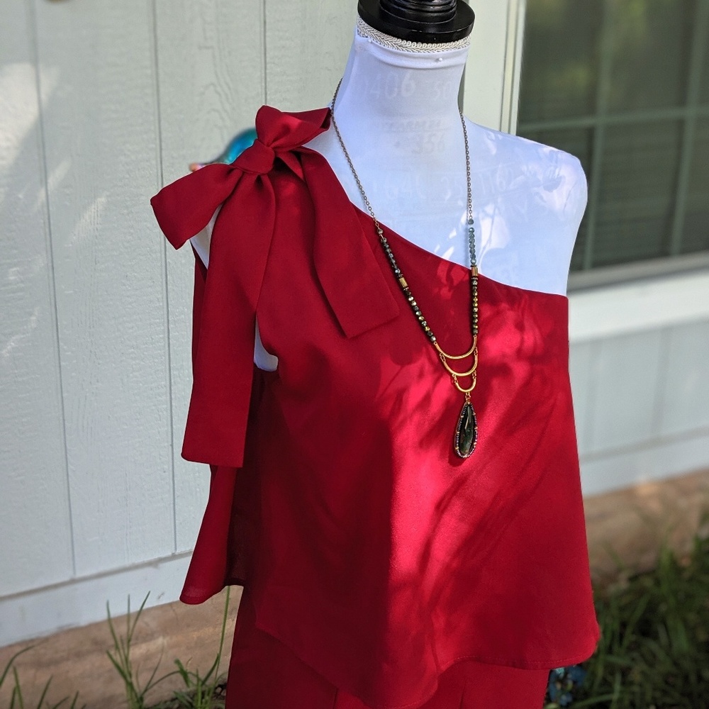 Gorgeous Garnet One shoulder Jumpsuit - Picture 3 of 7